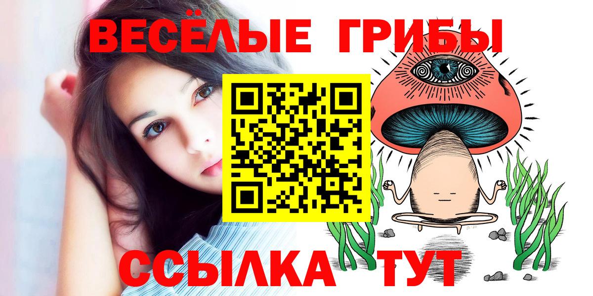 Галлюциногенные грибы GOLDEN TEACHER Кострома
