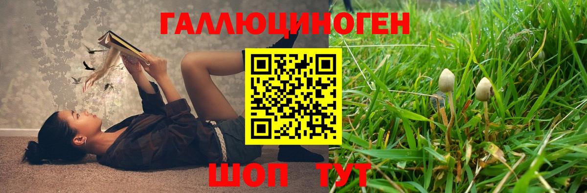 Галлюциногенные грибы мицелий  Псилоцибиновые грибы ЛСД  Вход с VPN  Кострома 